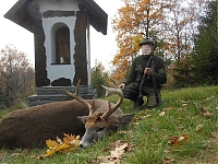 Weisswedelhirschjagd mit Prolov