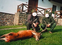 Hirschjagd mit Prolov